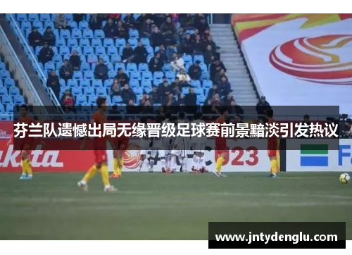 芬兰队遗憾出局无缘晋级足球赛前景黯淡引发热议