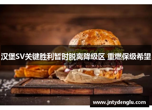 汉堡SV关键胜利暂时脱离降级区 重燃保级希望