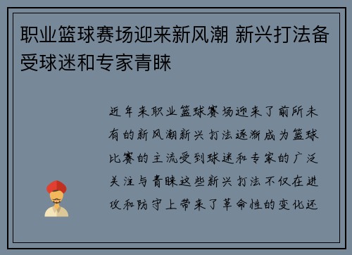 职业篮球赛场迎来新风潮 新兴打法备受球迷和专家青睐