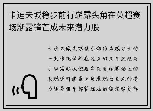 卡迪夫城稳步前行崭露头角在英超赛场渐露锋芒成未来潜力股